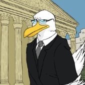 Seagullthelegal